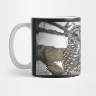 Barred owl in black and white Mug